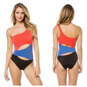 Solid & Striped The Louise One Piece Swimsuit